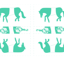 Block notes FANTINI E ASINELLI