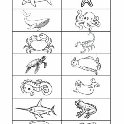 Schede Contatori marini