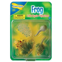 Ciclo di vita della rana